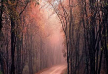 全球媒体聚焦 ｜ 英媒：中国仍是全球最具投资价值的国家之一.