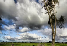 全球媒体聚焦 | 英媒:中国仍是全球最具投资价值的国家之一.