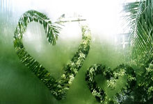 V体育：2024年全国体育传统学校乒乓球比赛(高中组)在济宁市开赛.